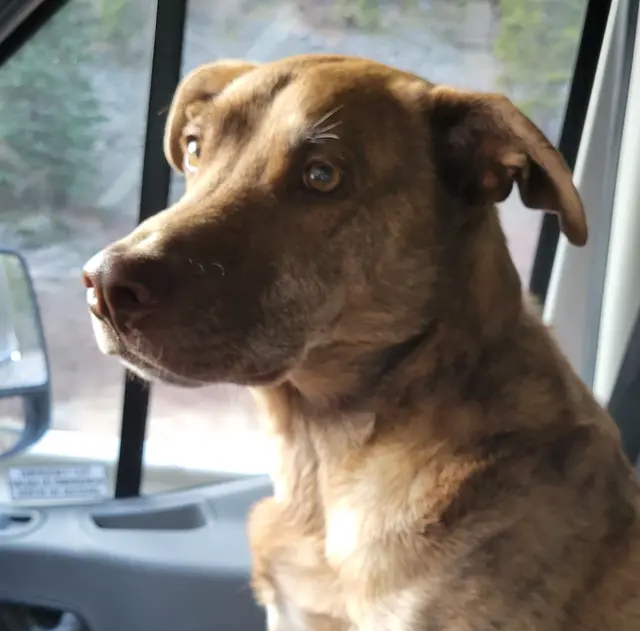 Roscoe